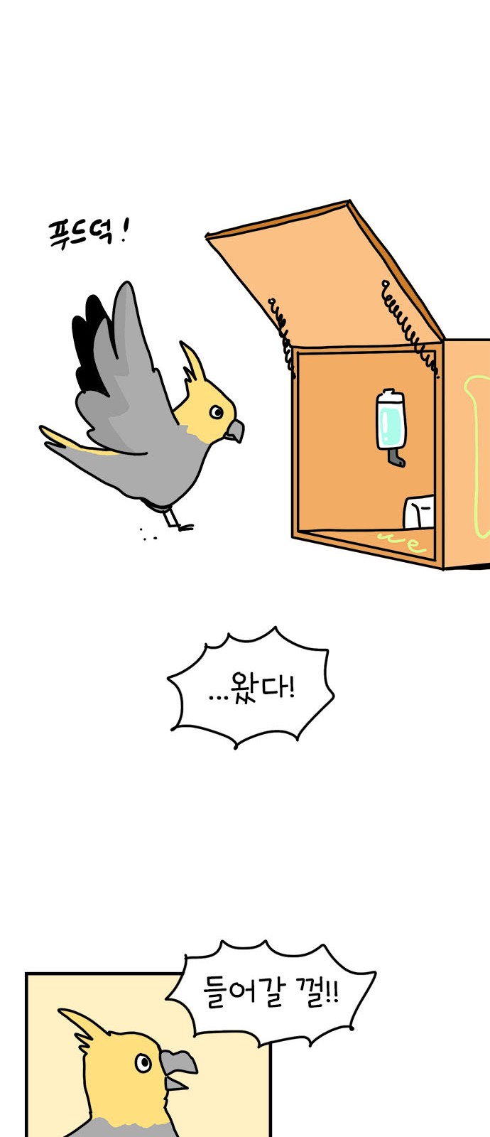 38 페이지