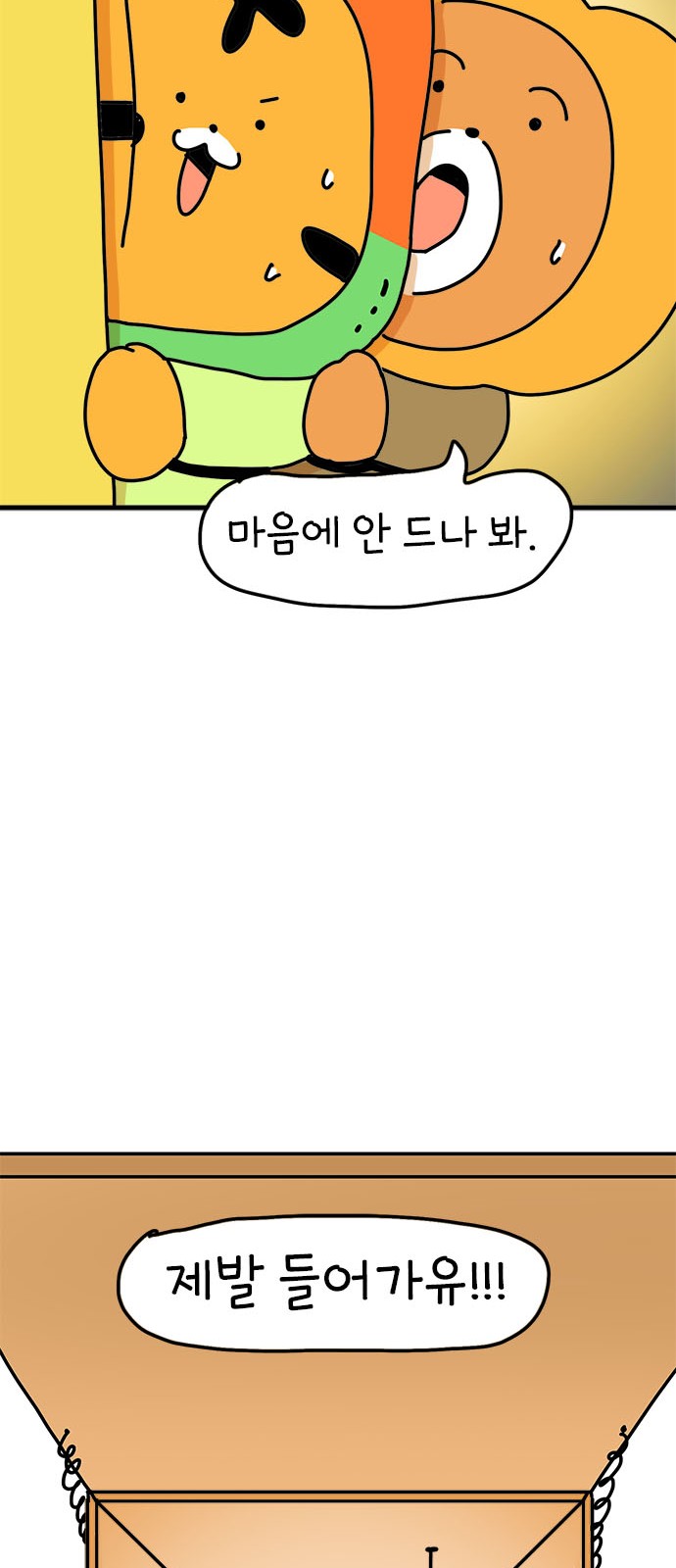 40 페이지