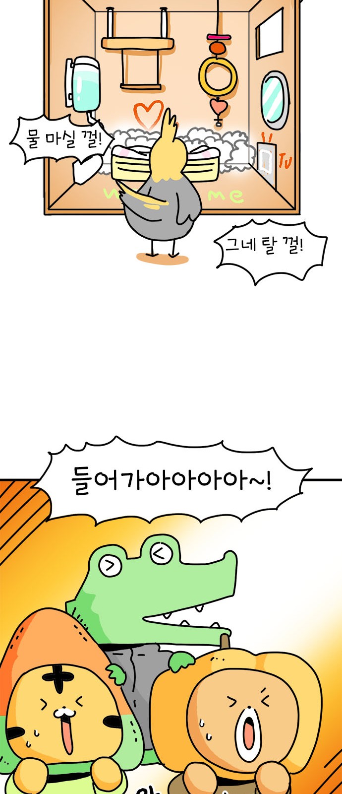 41 페이지