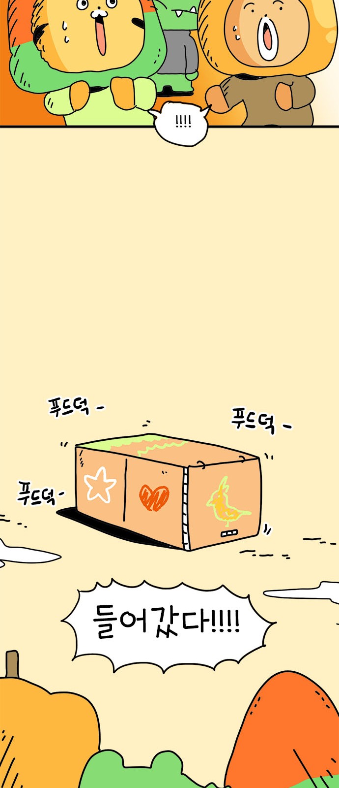 43 페이지