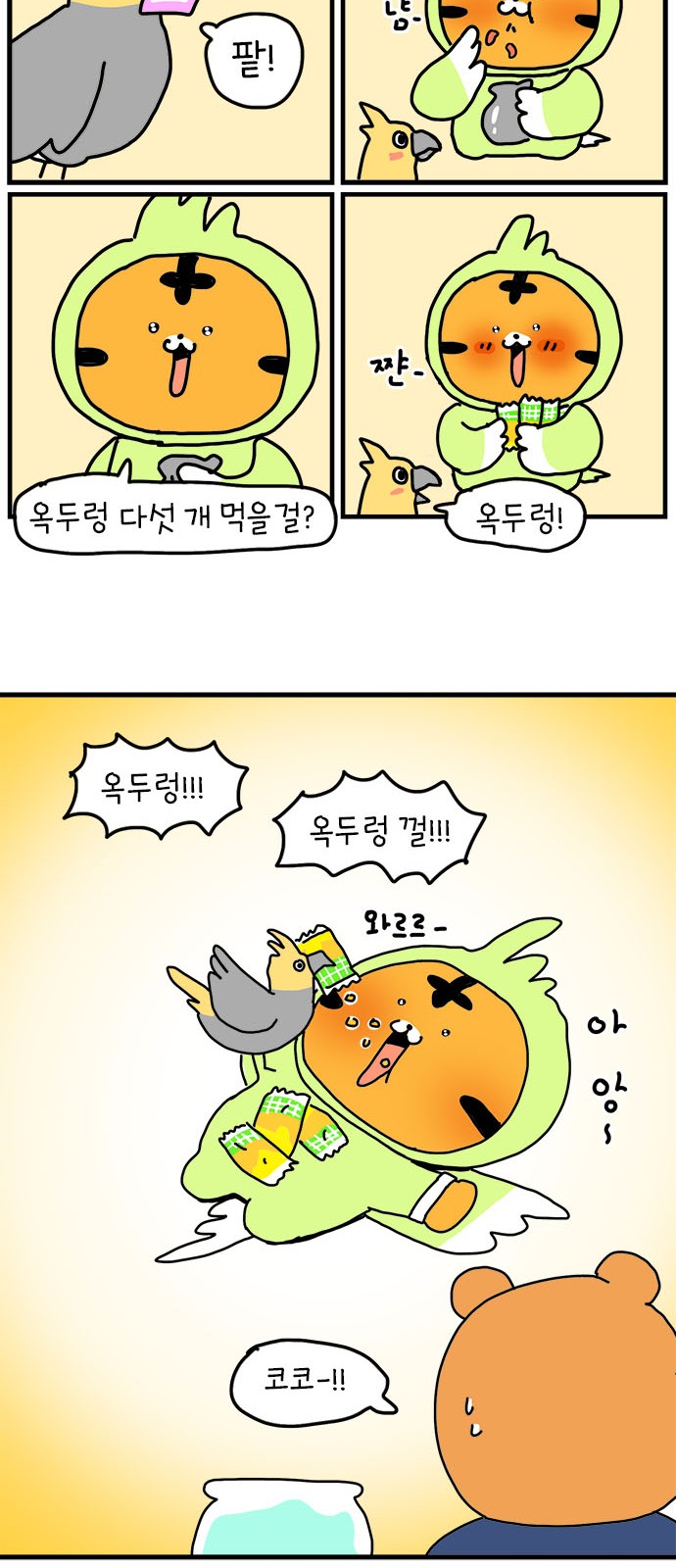 27 페이지