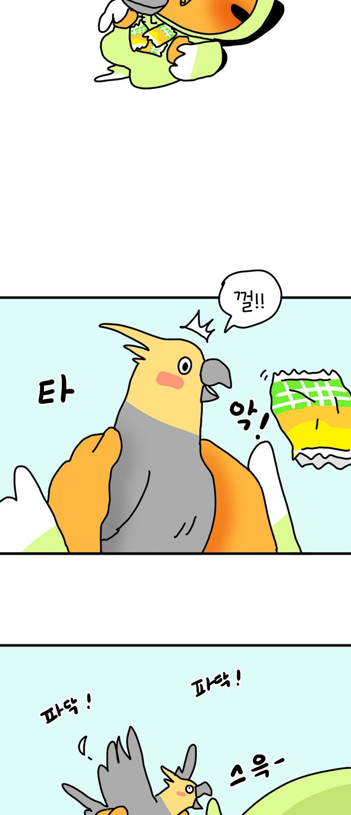 29 페이지