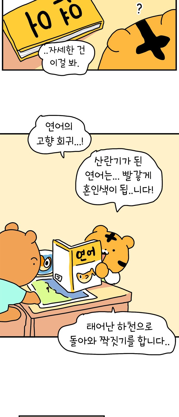 47 페이지