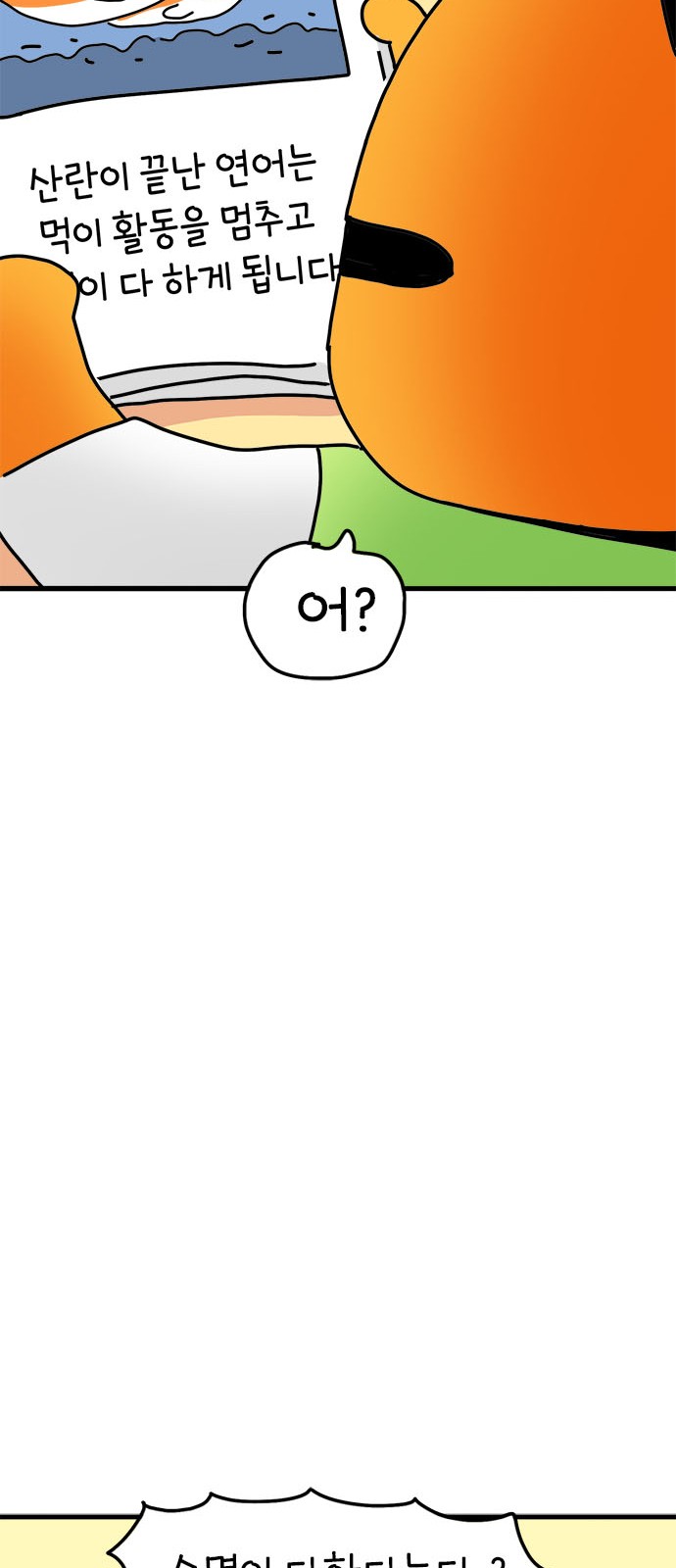 49 페이지