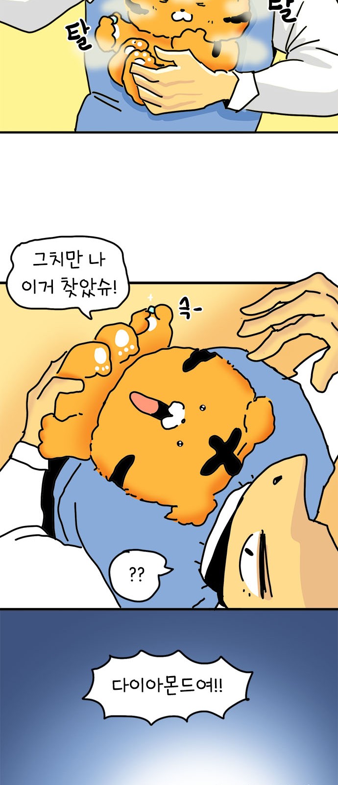 29 페이지