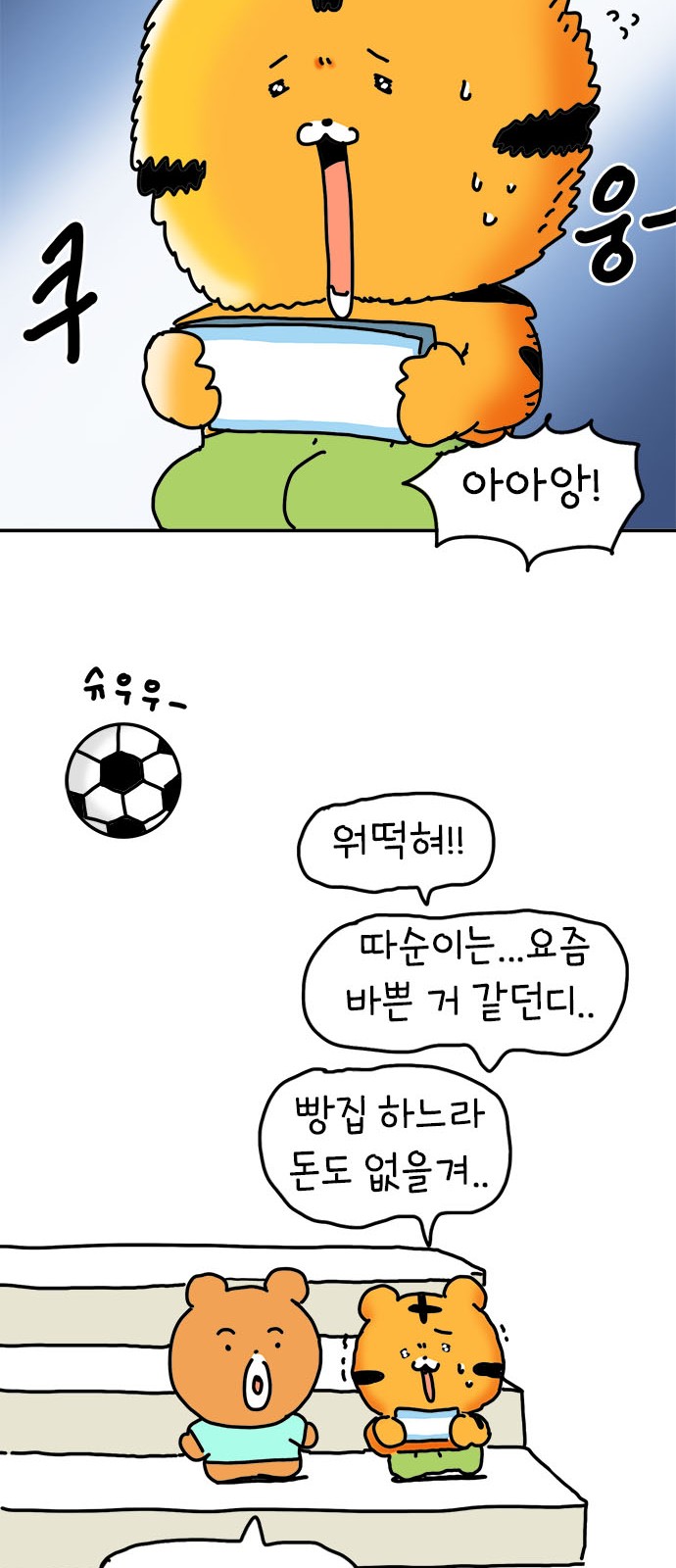 14 페이지