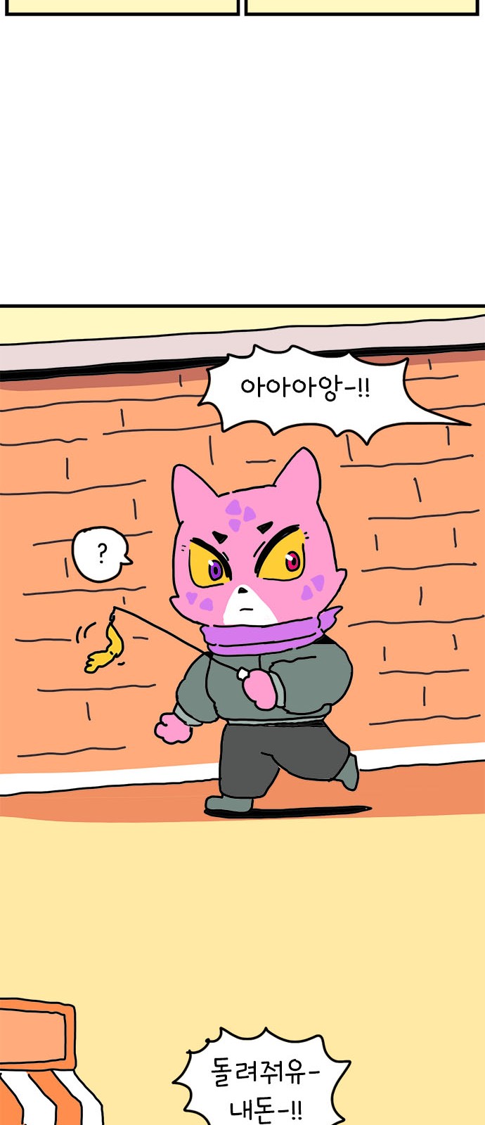 44 페이지