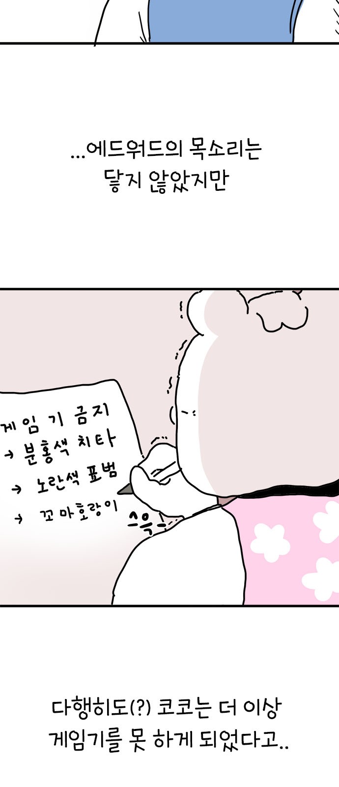 42 페이지