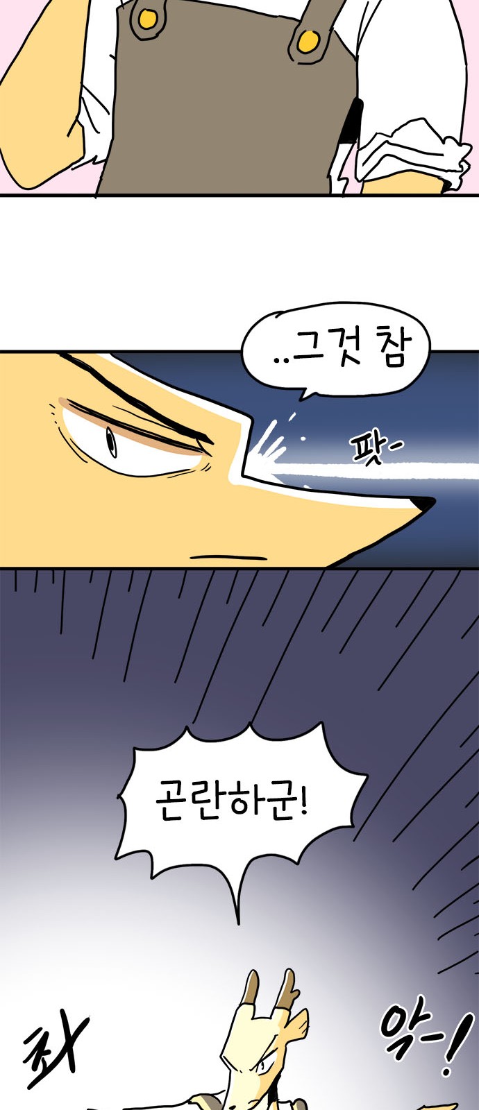 11 페이지
