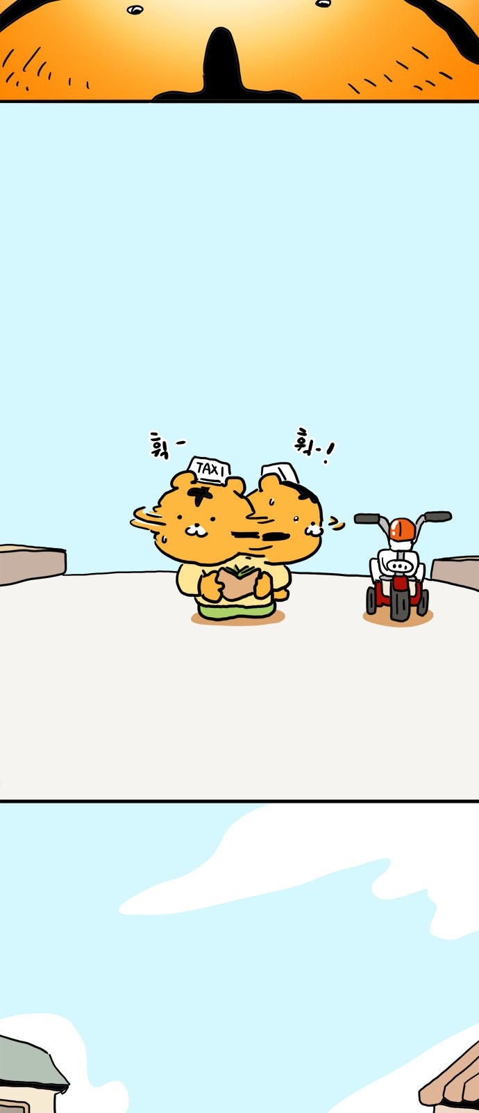 41 페이지