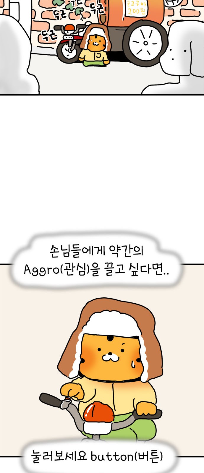 44 페이지