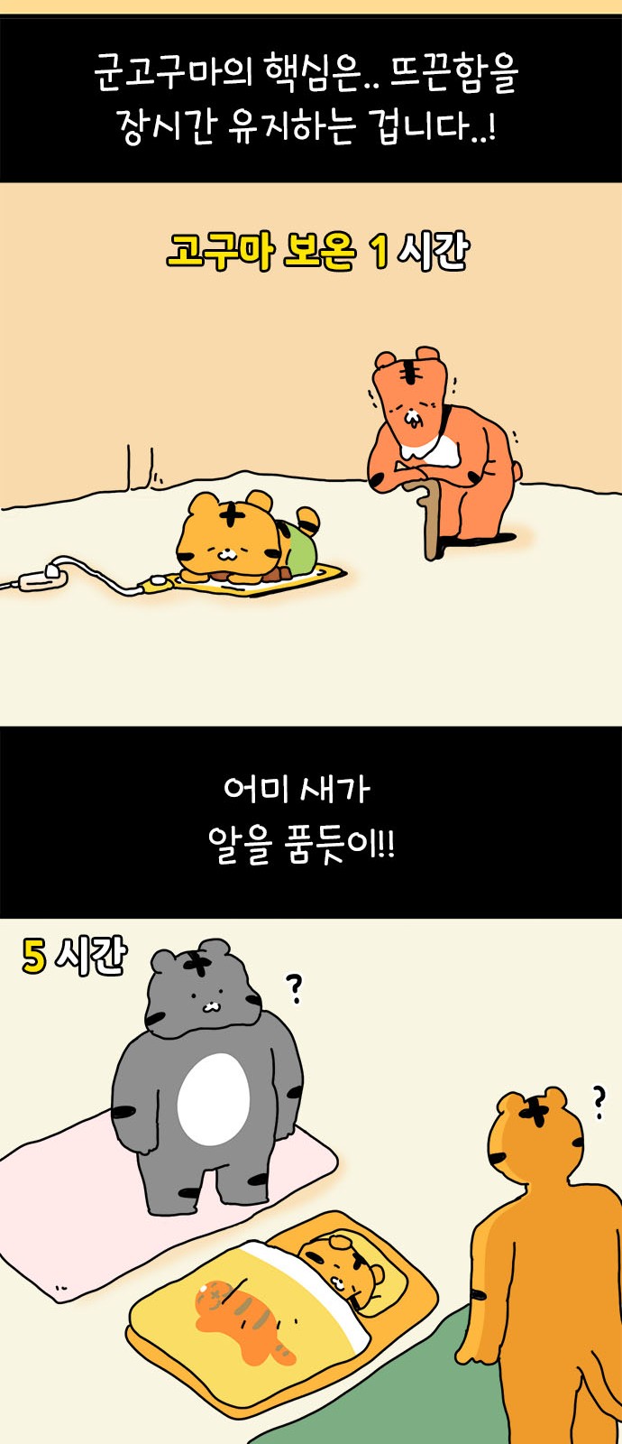 25 페이지