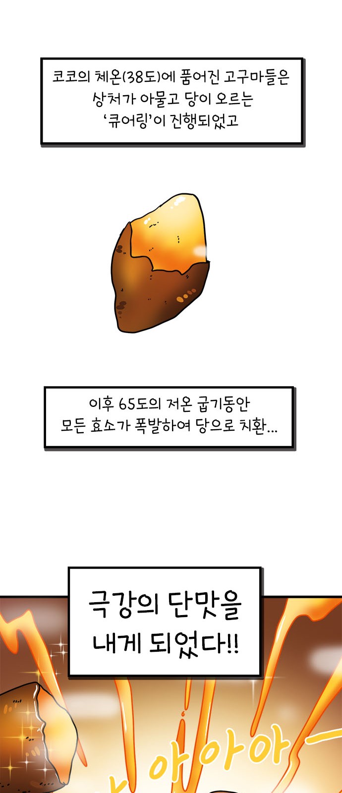 36 페이지