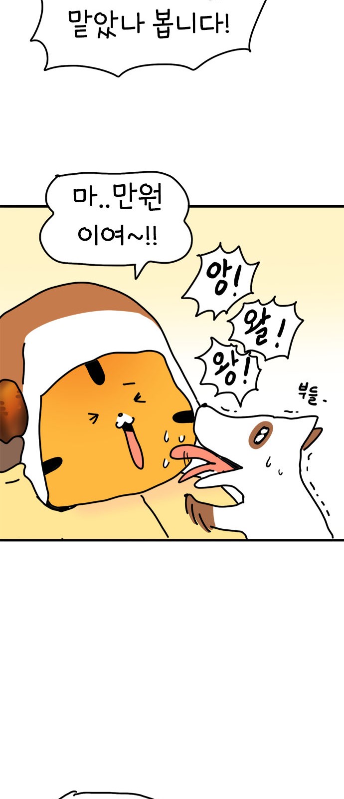 50 페이지