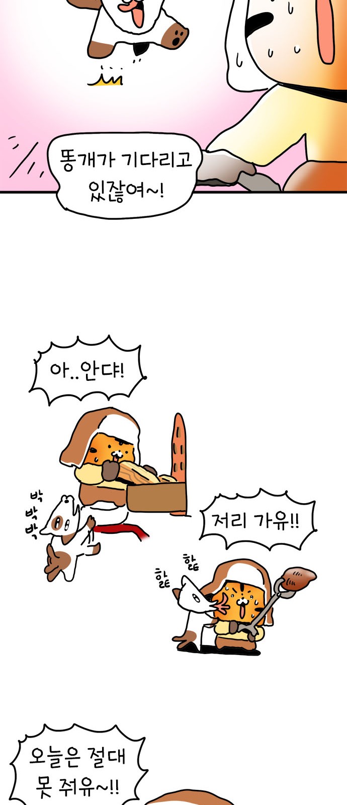 11 페이지