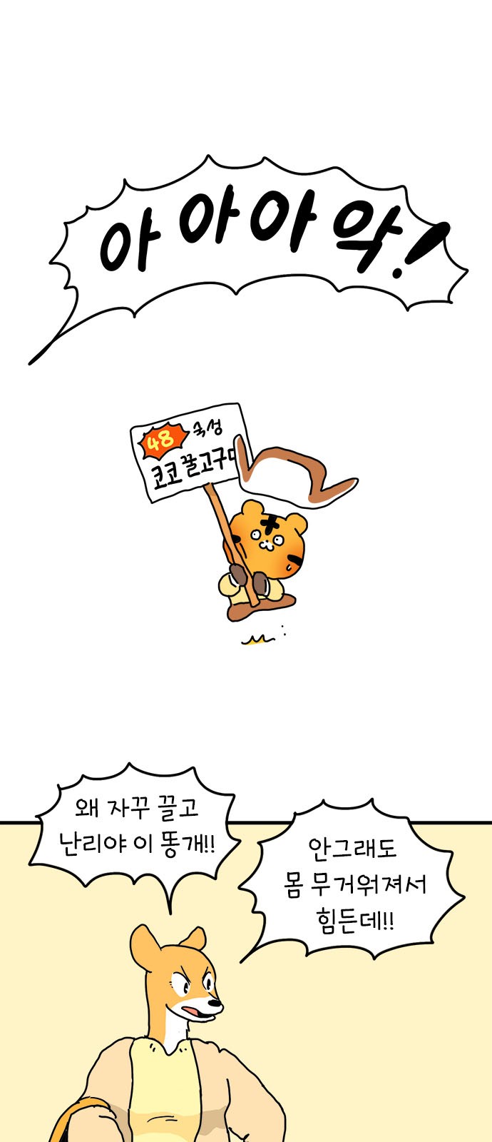 17 페이지