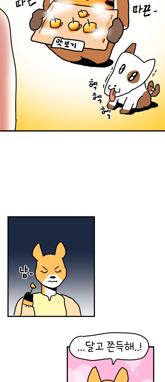 20 페이지