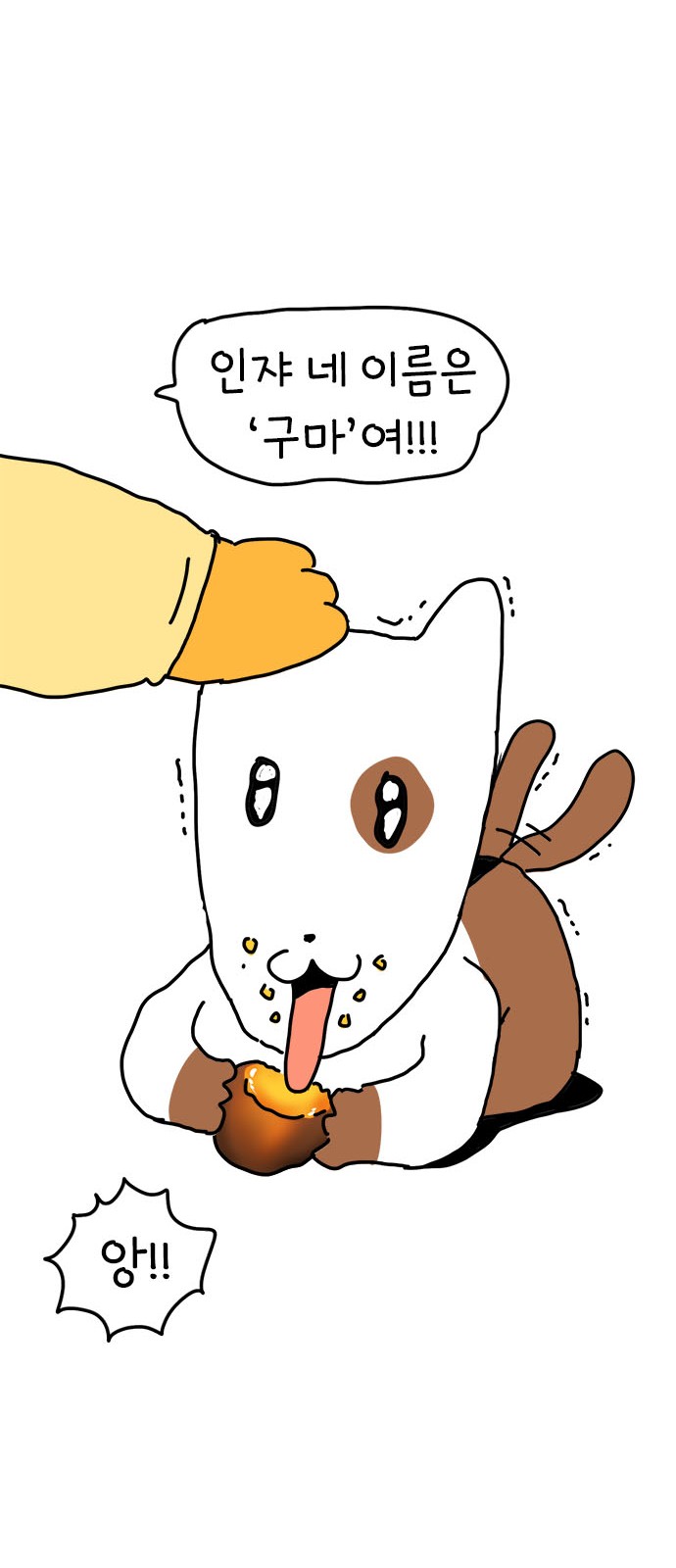 27 페이지