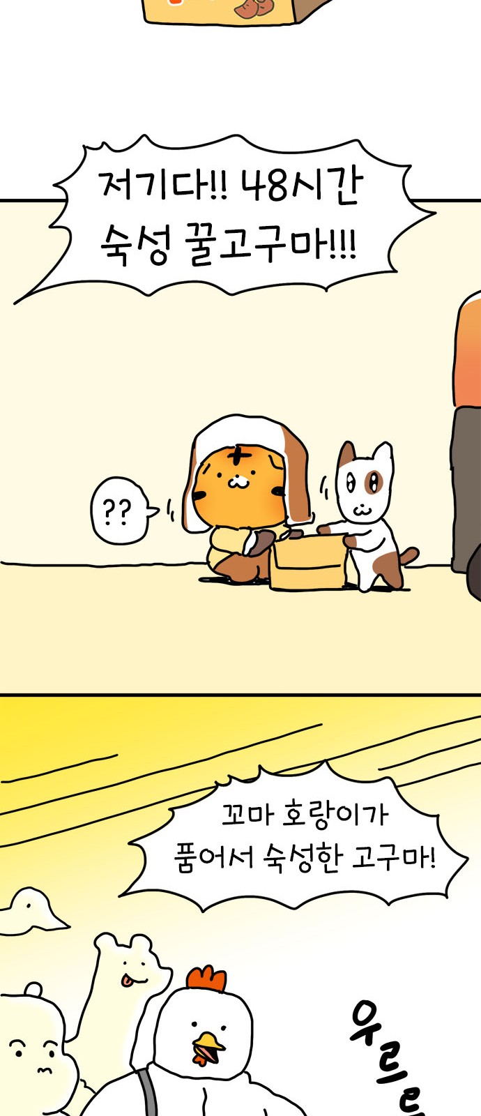 42 페이지