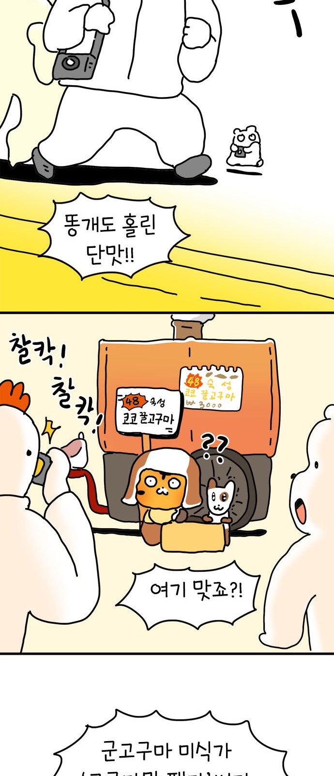43 페이지