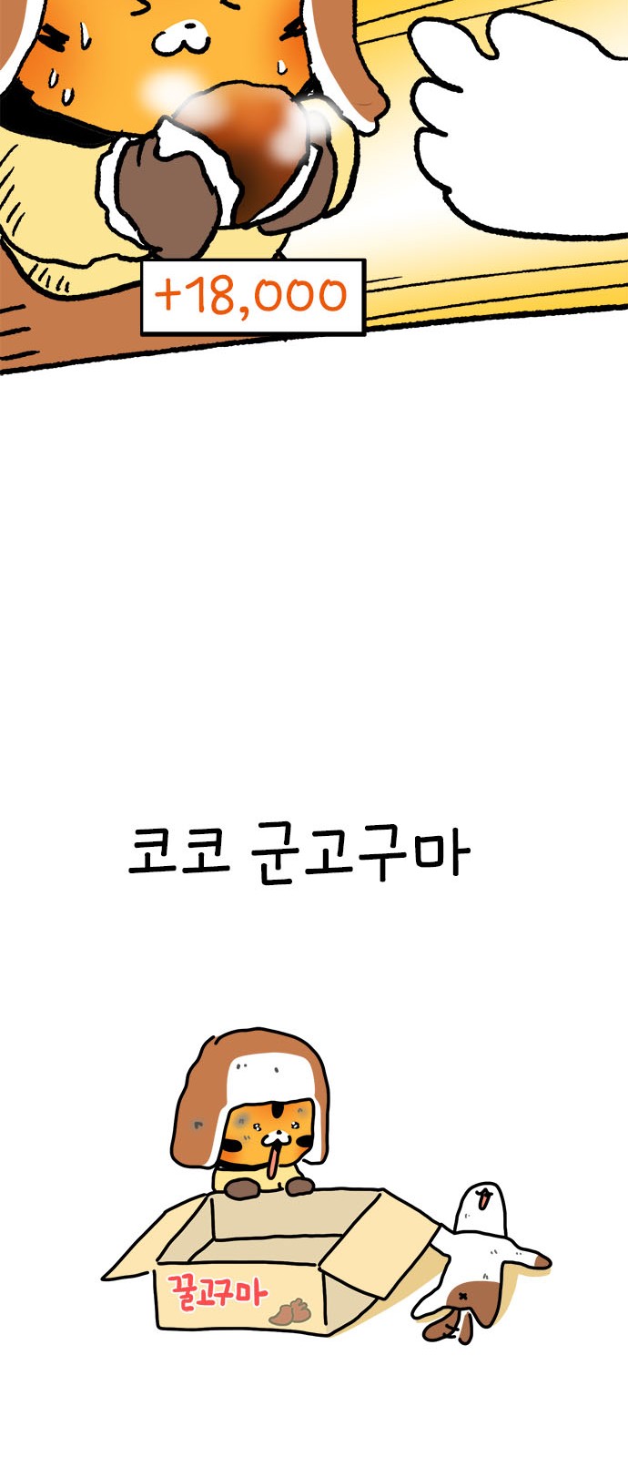 47 페이지