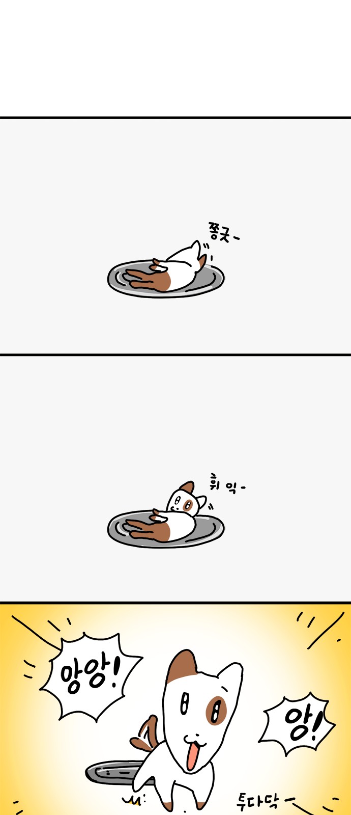 15 페이지