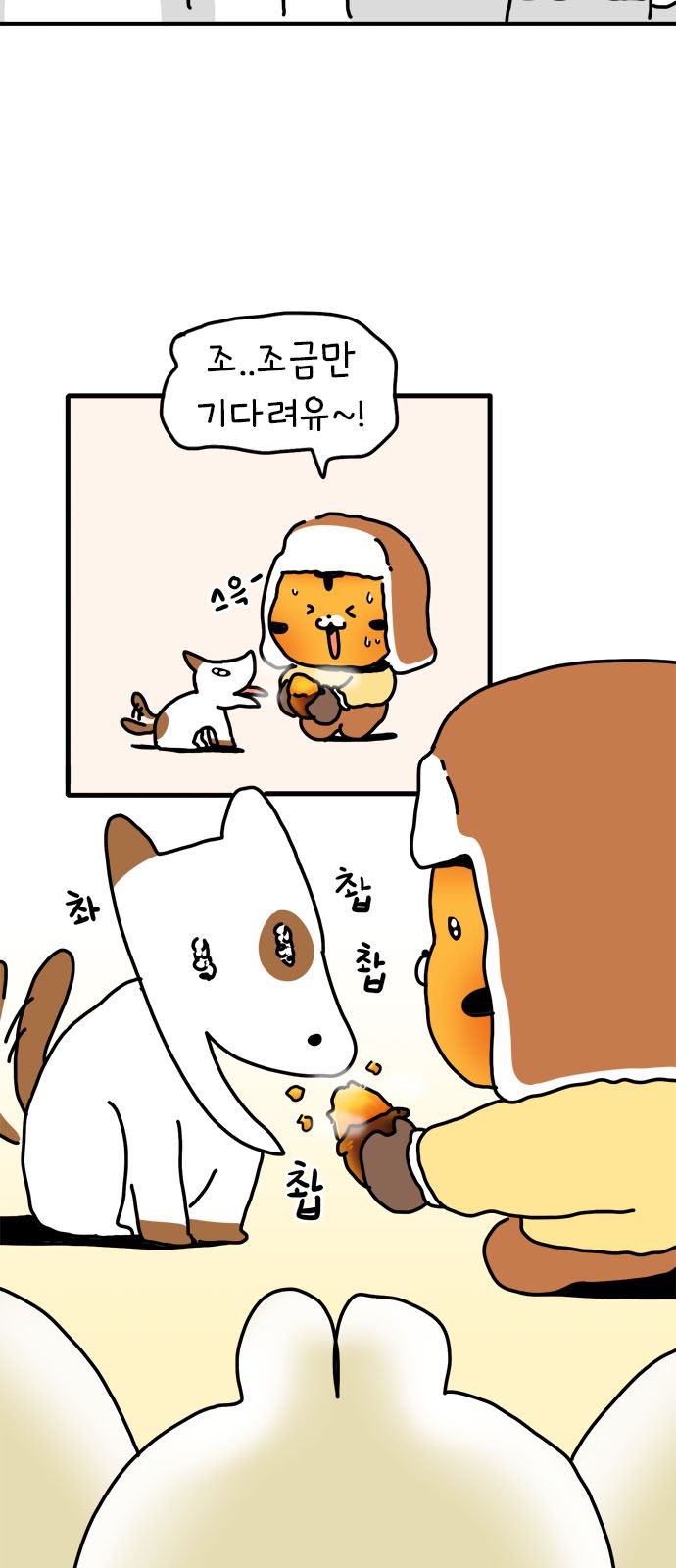 19 페이지