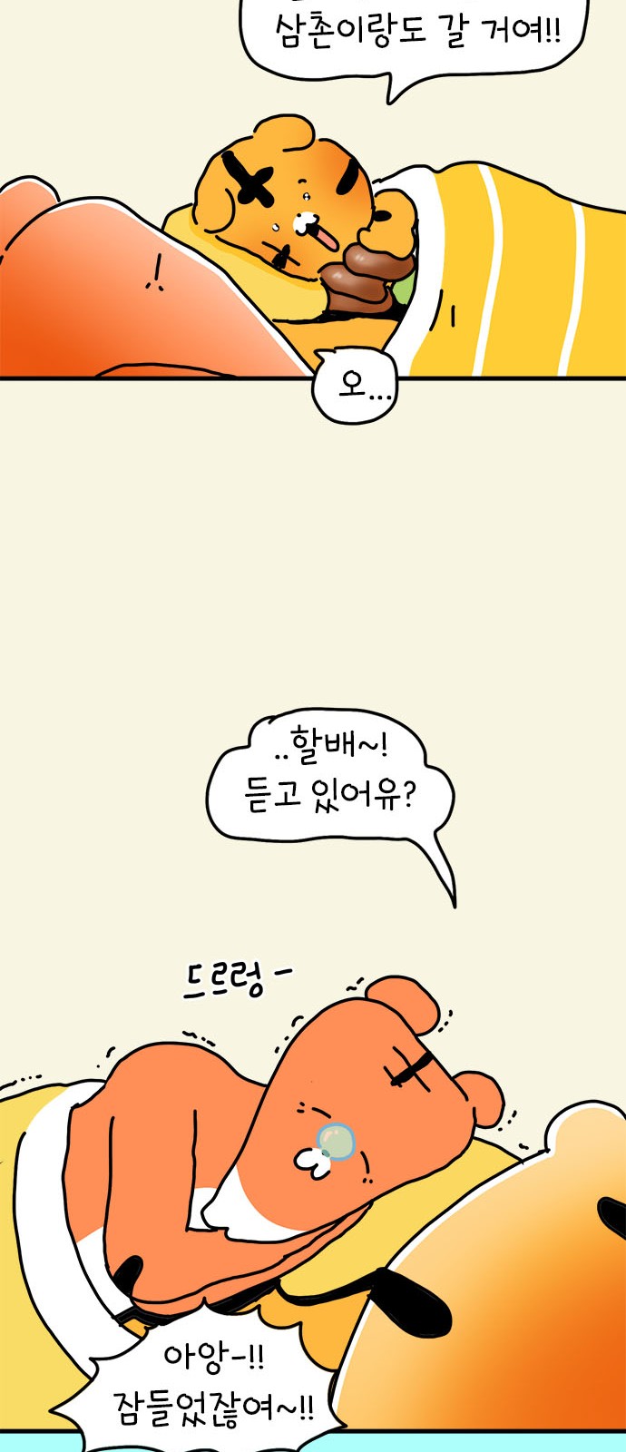 17 페이지
