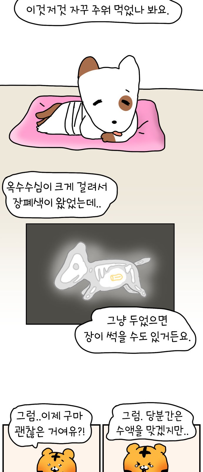 50 페이지