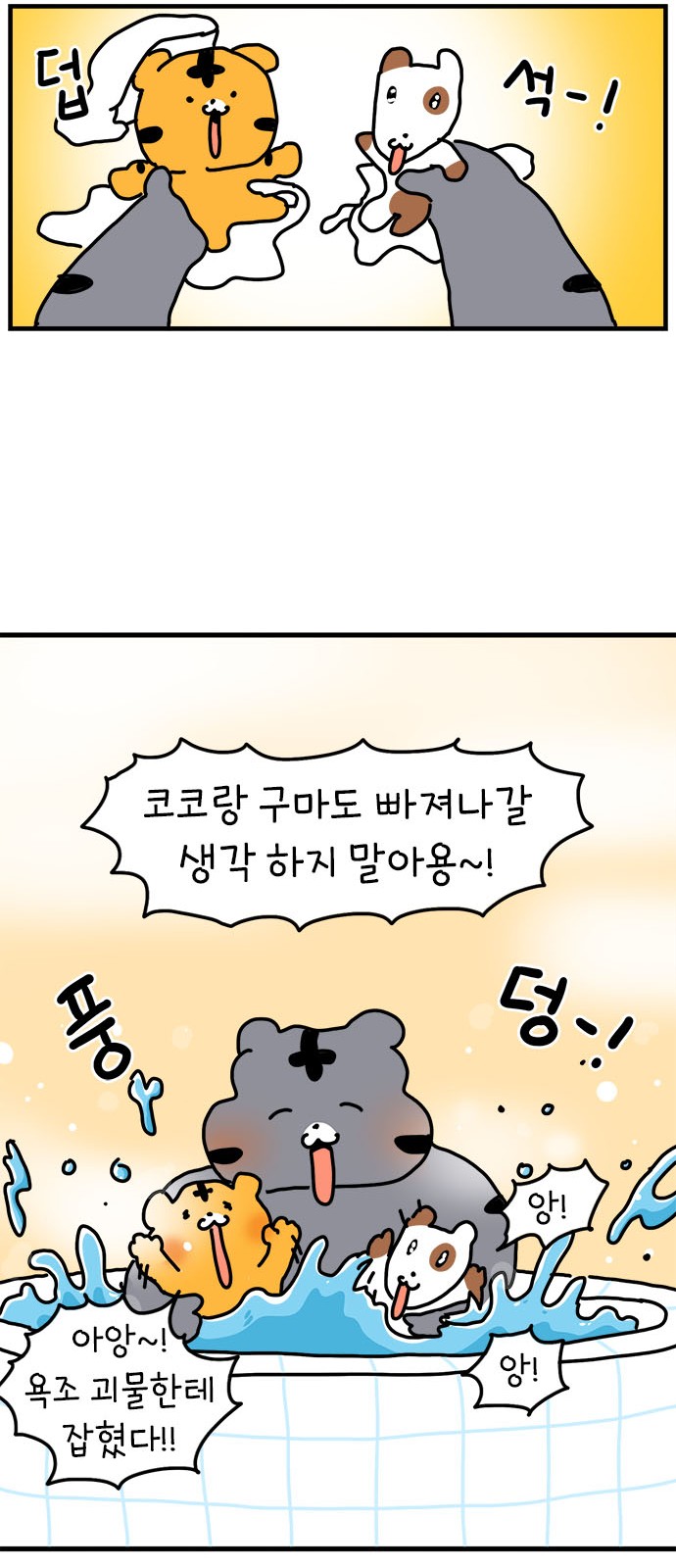 36 페이지