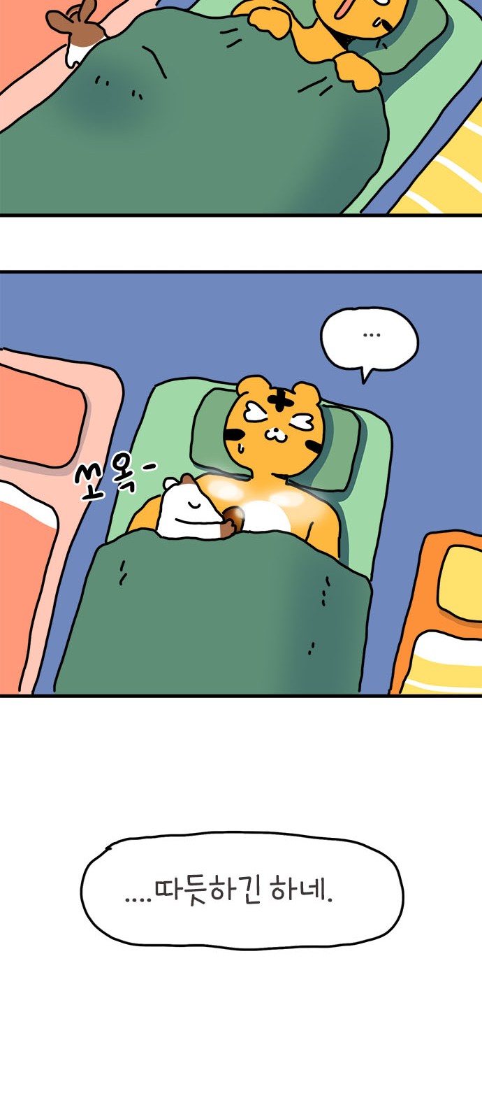 41 페이지