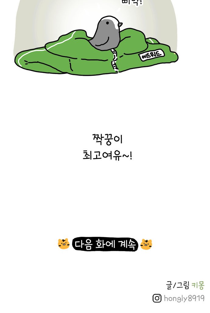 35 페이지
