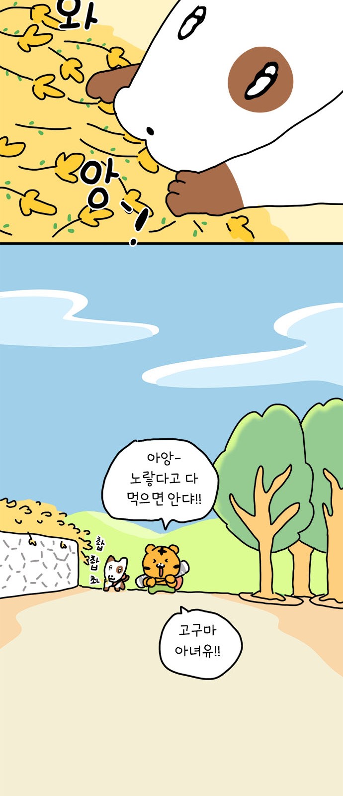 17 페이지