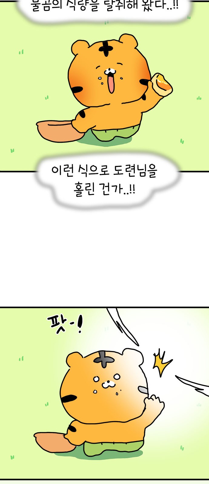 32 페이지