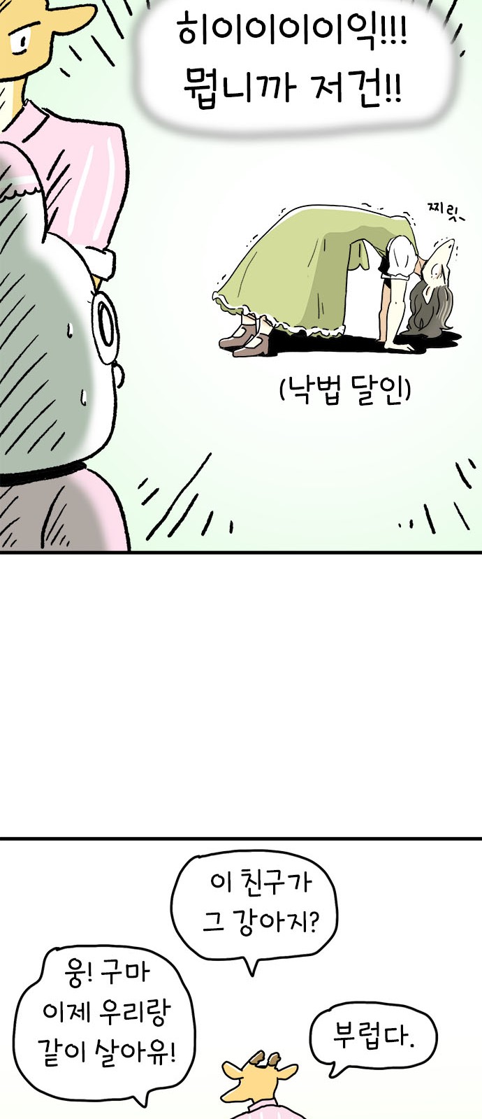 14 페이지