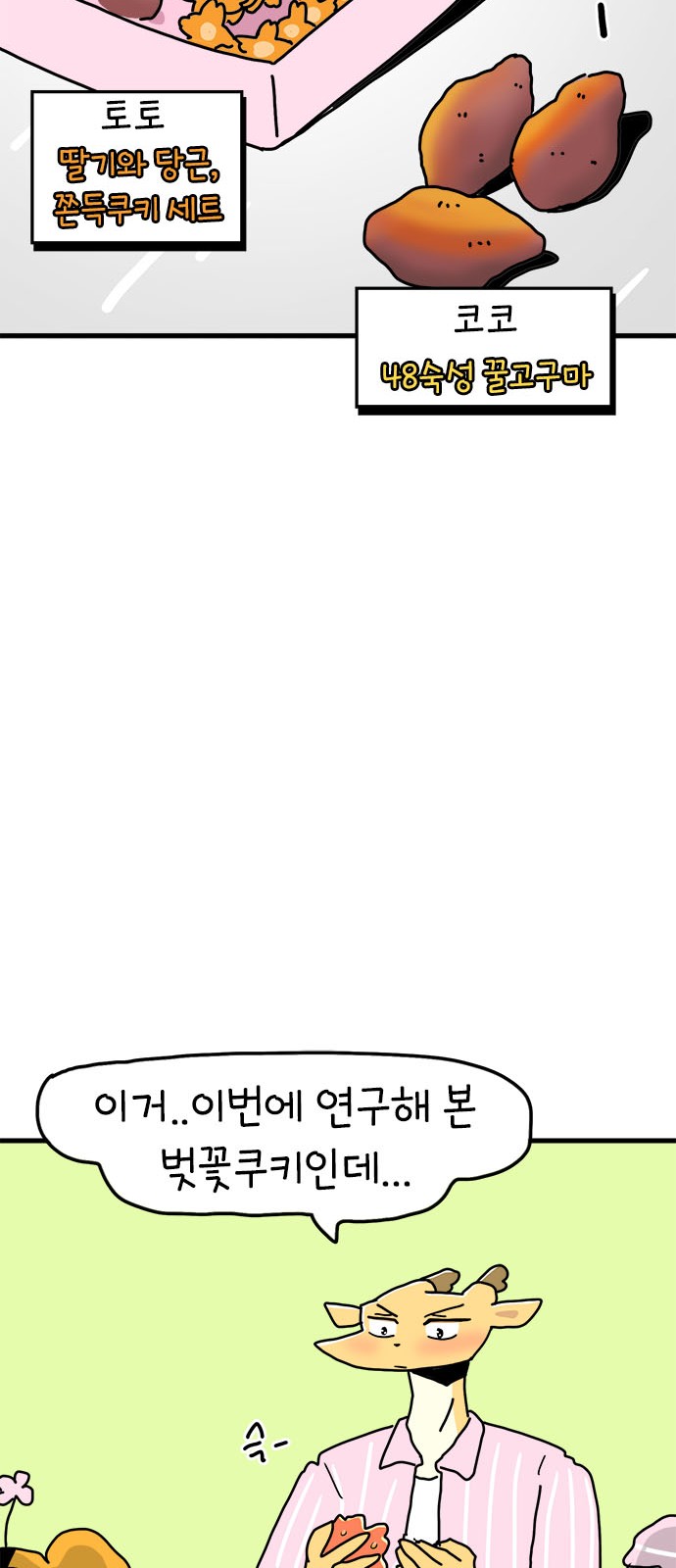16 페이지