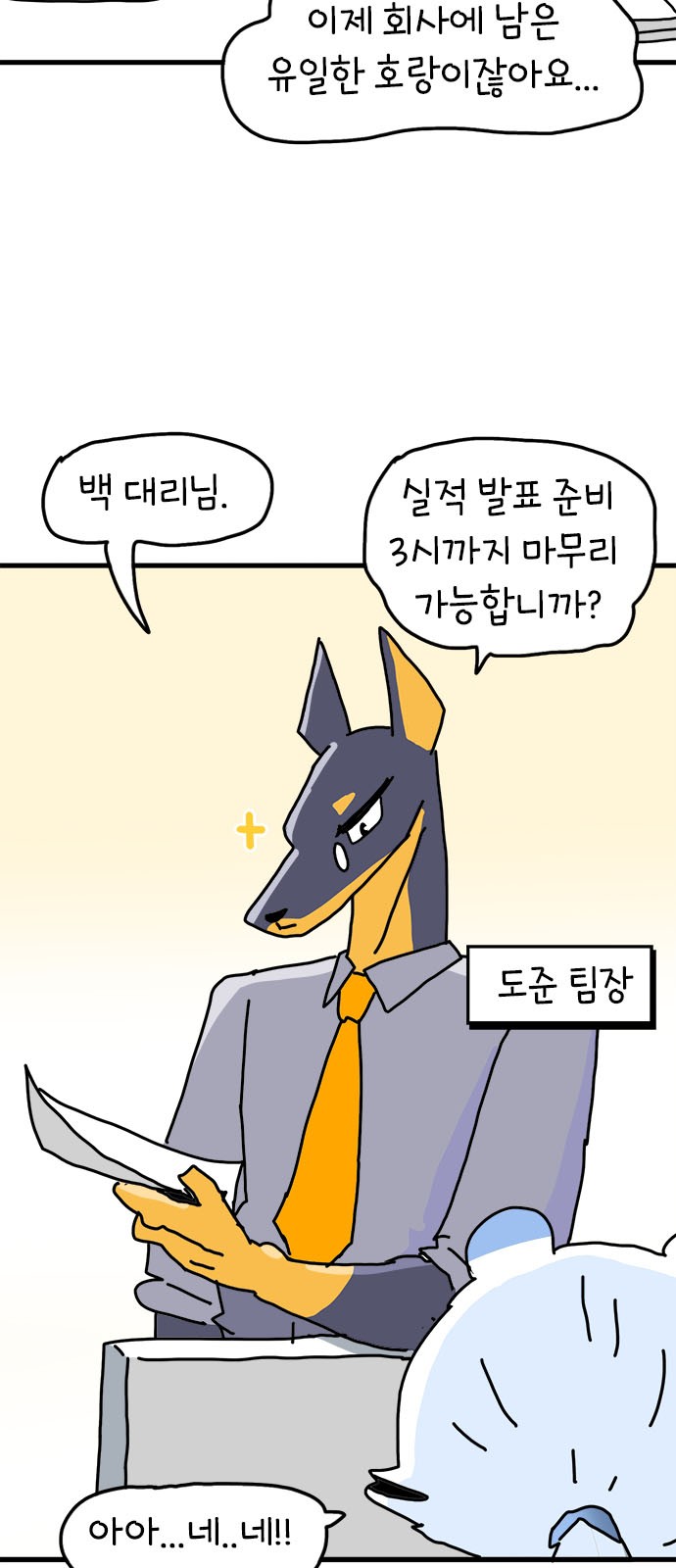 19 페이지
