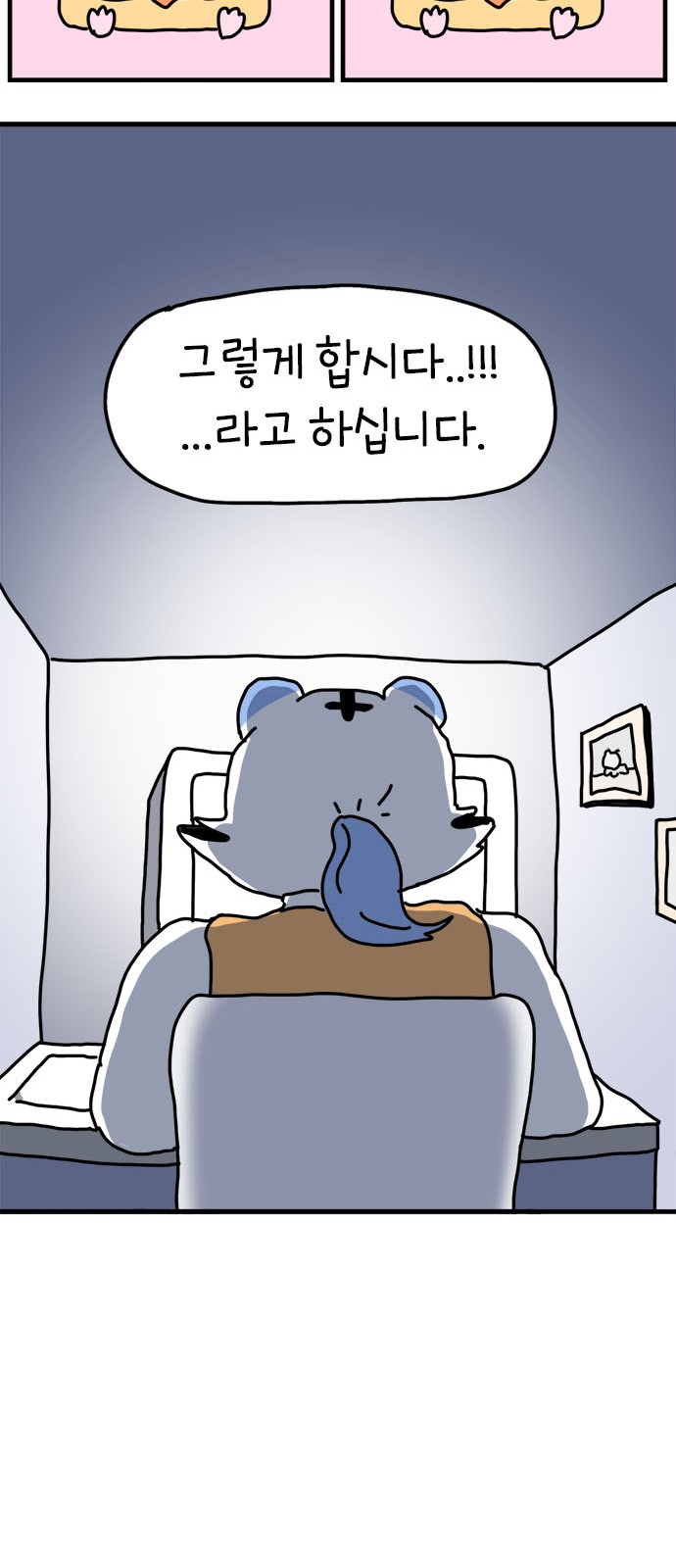 41 페이지