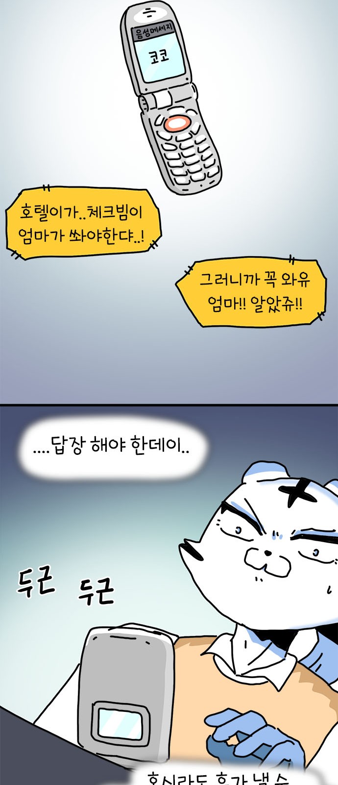 43 페이지
