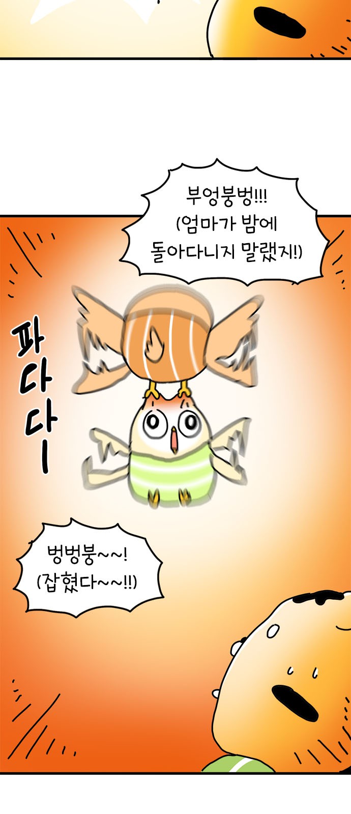 17 페이지