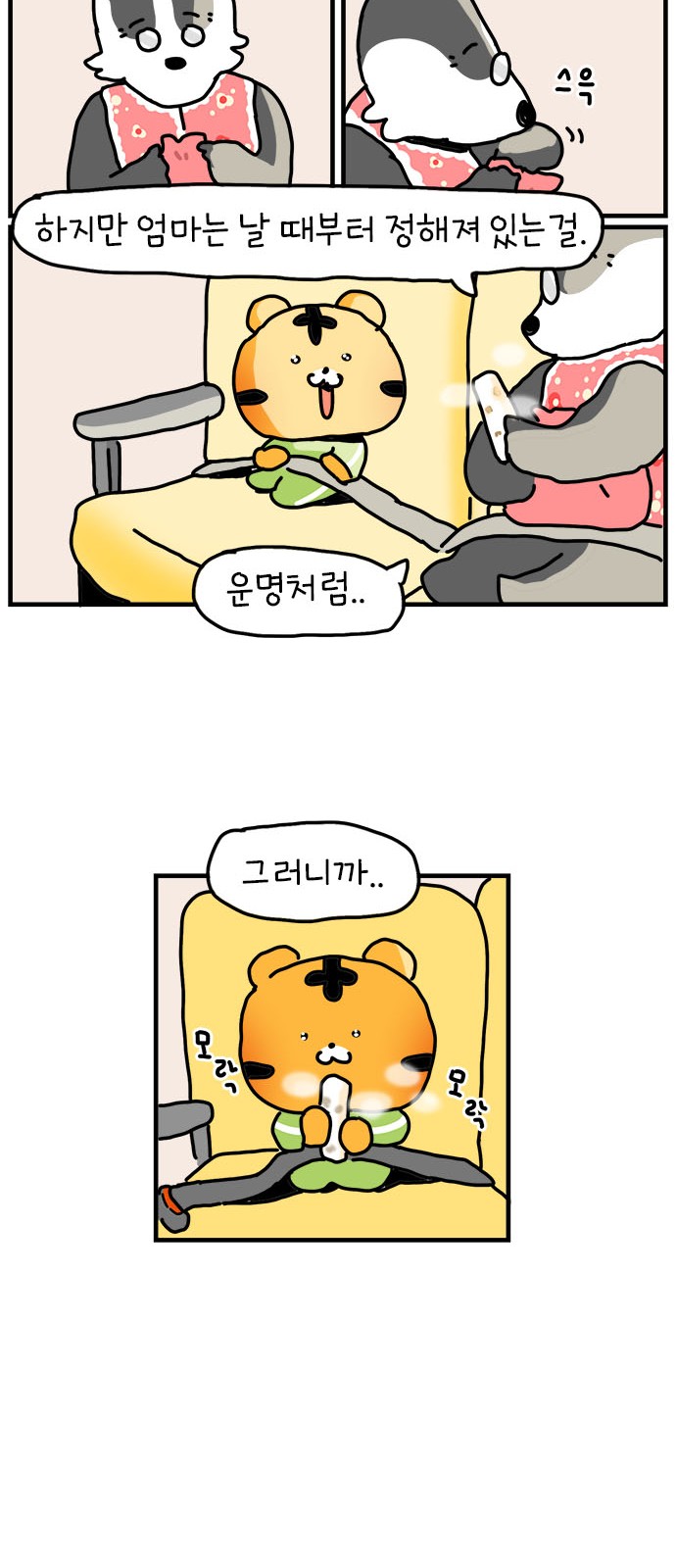 40 페이지