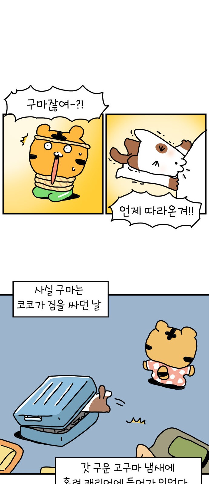 27 페이지