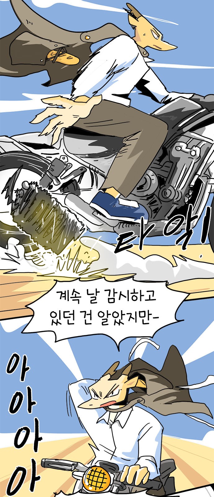 38 페이지
