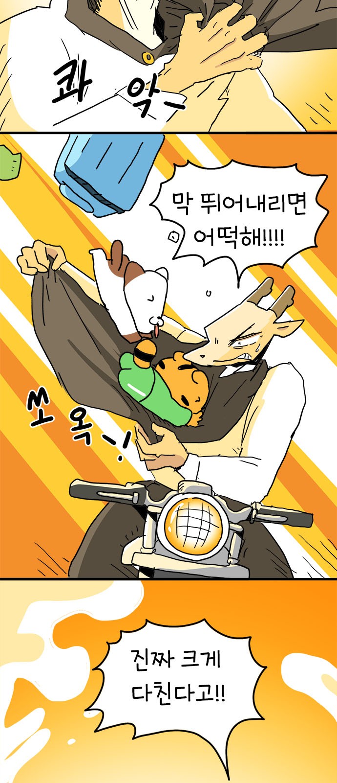 3 페이지