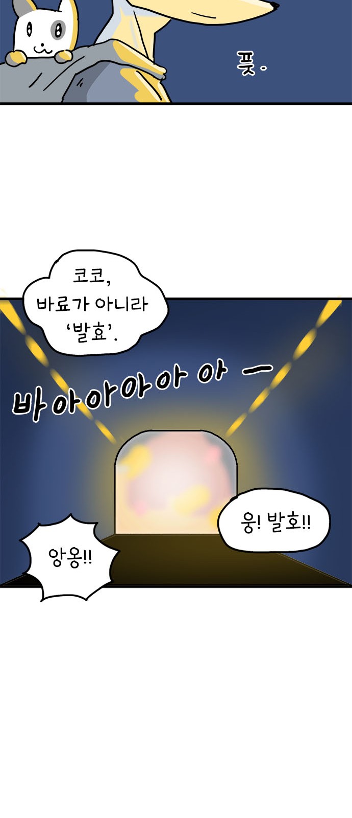 49 페이지