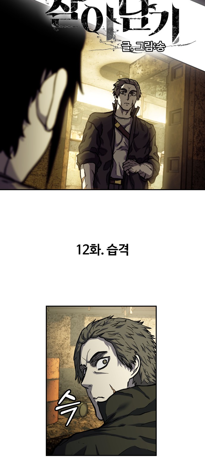 12 페이지