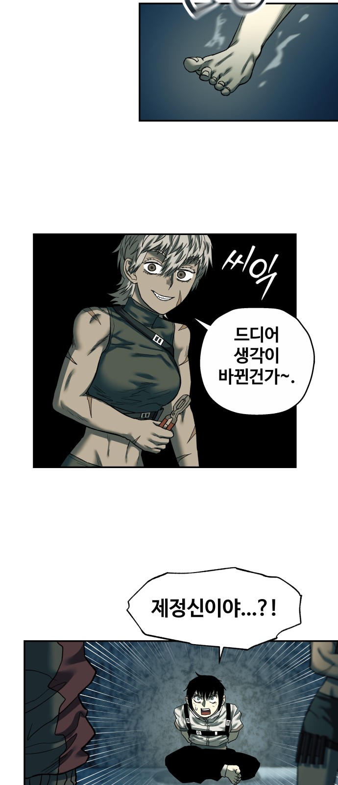 31 페이지