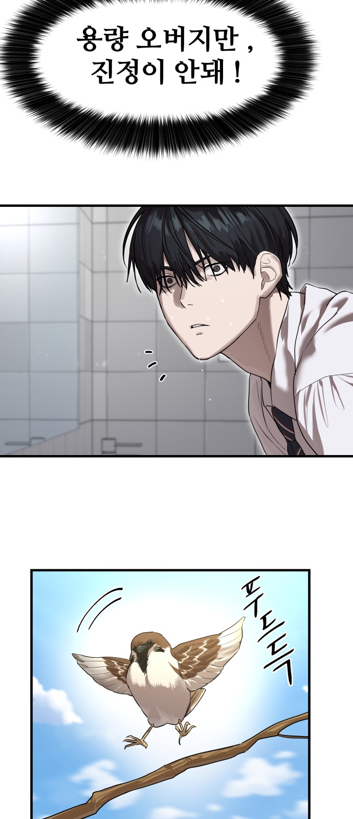 40 페이지