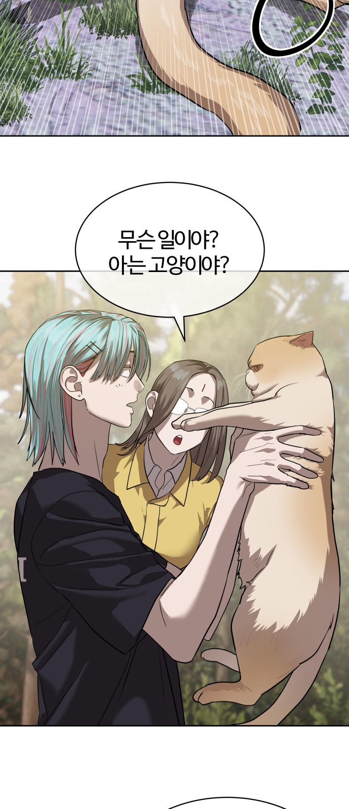 41 페이지
