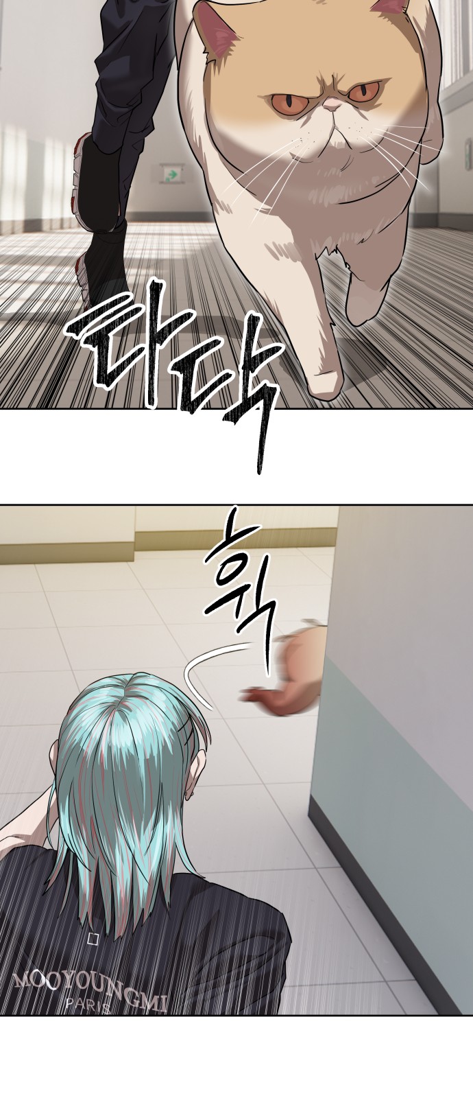 53 페이지